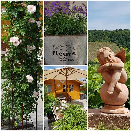 Casa de hóspedes Julia 4*