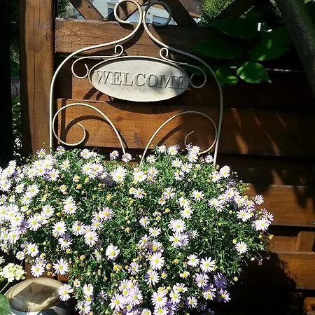 Julia 4* Kobern-Gondorf